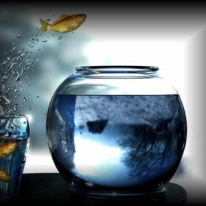 https://mariafernandezcoach.com/wp-content/uploads/2016/07/PECES-COACHING-300x300.jpg
