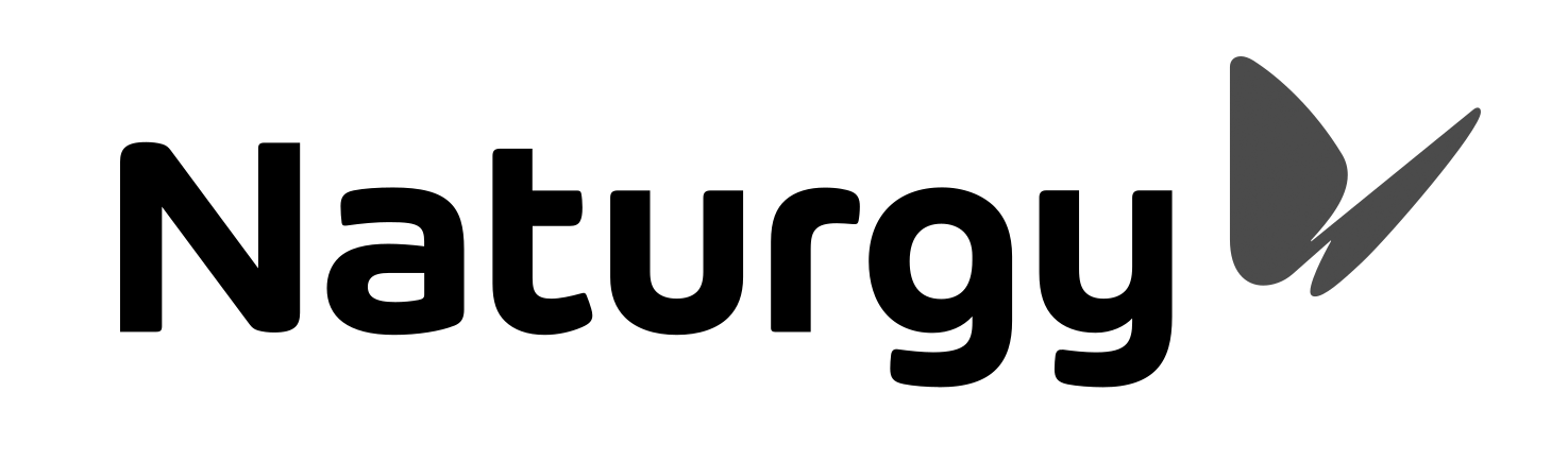 Naturgy.svg